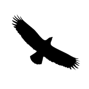 Eagle LOGO web